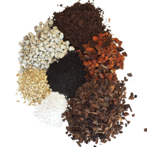 Seedless Super Chunky Mix - Aroid Mix